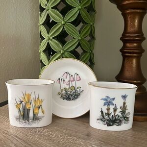 ROYAL WORCESTER 🏴󠁧󠁢󠁥󠁮󠁧󠁿 England Bone China Set